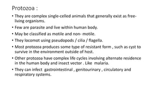 Protozoa :
• They are complex single-celled animals that generally exist as free-
living organisms.
• Few are parasite and live within human body.
• May be classified as motile and non- motile.
• They locomot using pseudopods / cilia / flagella.
• Most protozoa produces some type of resistant form , such as cyst to
survive in the environment outside of host.
• Other protozoa have complex life cycles involving alternate residence
in the human body and insect vector . Like malaria.
• They can infect gastrointestinal , genitourinary , circulatory and
respiratory systems.
 