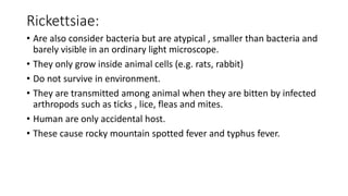 Rickettsiae:
• Are also consider bacteria but are atypical , smaller than bacteria and
barely visible in an ordinary light microscope.
• They only grow inside animal cells (e.g. rats, rabbit)
• Do not survive in environment.
• They are transmitted among animal when they are bitten by infected
arthropods such as ticks , lice, fleas and mites.
• Human are only accidental host.
• These cause rocky mountain spotted fever and typhus fever.
 