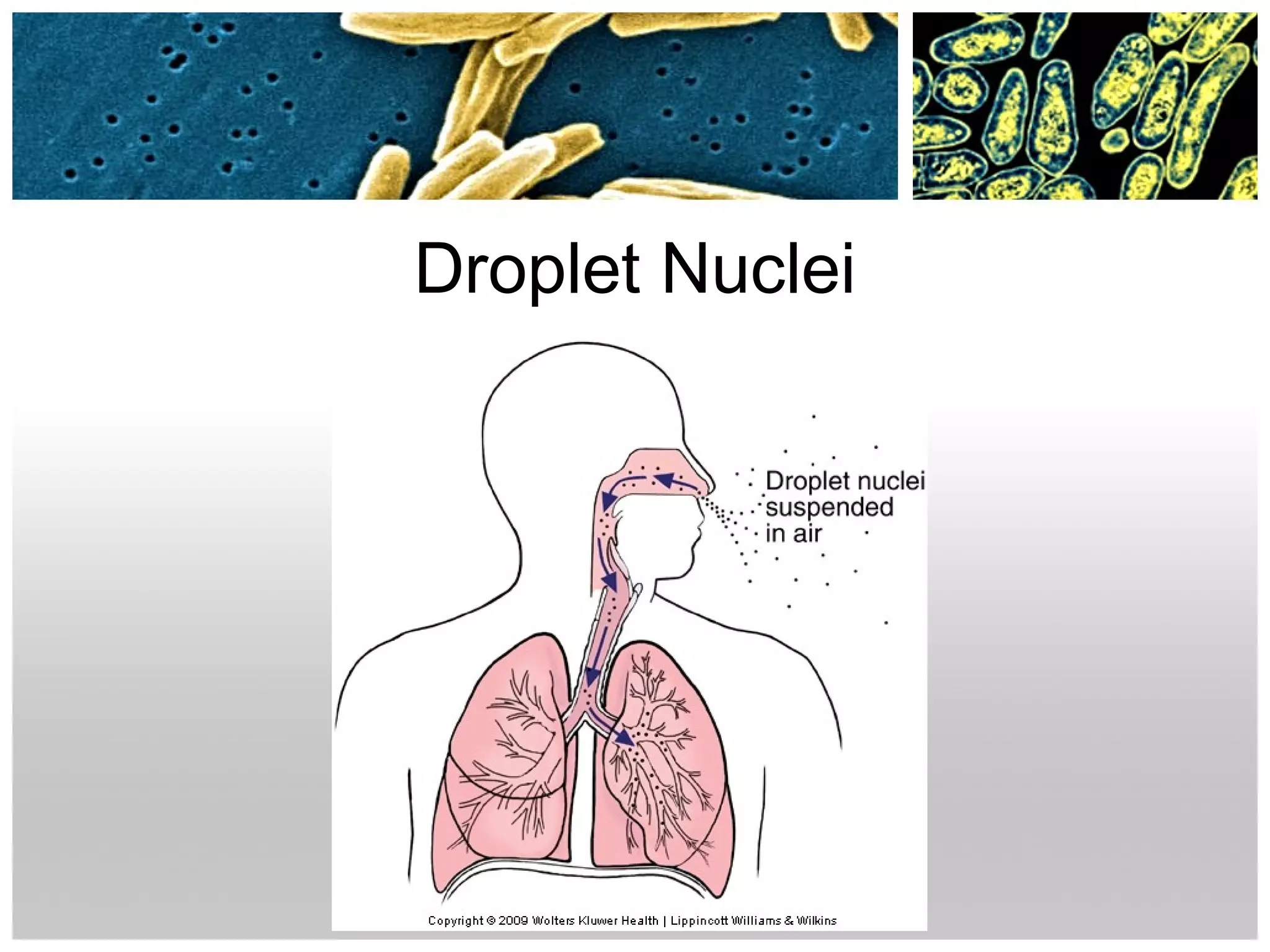 Infection control disease transmission([1] | PPT