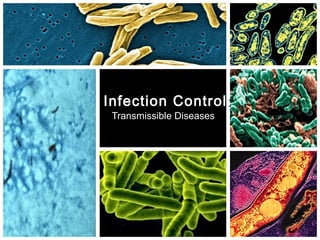 Infection Control:Infection Control:
Transmissible DiseasesTransmissible Diseases
 