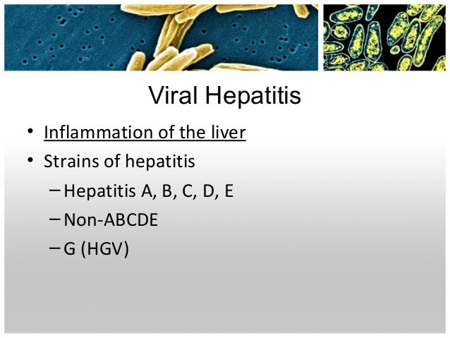 Best Food For Hepatitis B Carrier Best Food For Hepatitis B Carrier