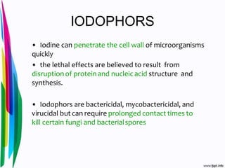 IODOPHORS
• Iodine can penetrate the cell wall of microorganisms
quickly
• the lethal effects are believed to result from
disruptionof proteinand nucleicacid structure and
synthesis.
• Iodophors are bactericidal, mycobactericidal, and
virucidal but can require prolonged contact times to
kill certain fungi and bacterialspores
 