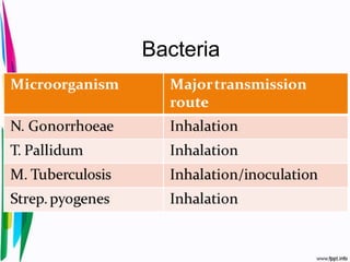 Bacteria
 