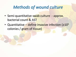 Wound Culture Algorithm Infection control in burn icu | PPTX