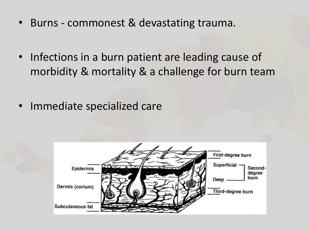 Infection control in burn icu