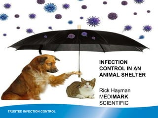 TRUSTED INFECTION CONTROL
INFECTION
CONTROL IN AN
ANIMAL SHELTER
Rick Hayman
MEDIMARK
SCIENTIFIC
 
