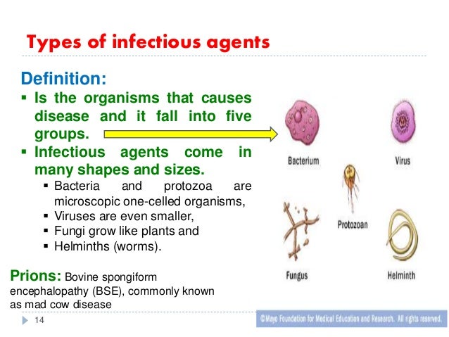 what are the 5 types of infectious agents