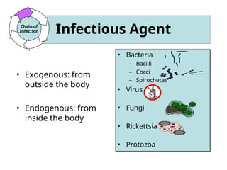 Comprehensive Overview of Infectious Diseases: Definitions ...