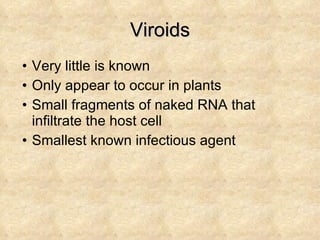 Viroids Very little is known Only appear to occur in plants Small fragments of naked RNA that infiltrate the host cell Smallest known infectious agent 