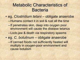Metabolic Characteristics of Bacteria eg.  Clostridium tetani  – obligate anaerobe Humans contact it in soil & rust all the time If penetrates skin, deep into oxygen poor environment will cause the disease tetanus Lock-jaw & death via respiratory spasms eg.  C. botulinum  – obligate anaerobe If canned foods not sufficiently heated will multiply in oxygen-poor environment and cause botulism 