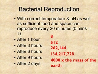 Bacterial Reproduction With correct temperature & pH as well as sufficient food and space can reproduce every 20 minutes (0 mins =  1 ) After  1  hour After 3 hours After 6 hours After 9 hours After 2 days 8 512 262,144 134,217,728 4000 x the mass of the  earth 