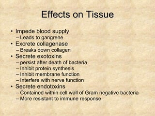 Effects on Tissue Impede blood supply Leads to gangrene Excrete collagenase Breaks down collagen Secrete exotoxins persist after death of bacteria Inhibit protein synthesis Inhibit membrane function Interfere with nerve function Secrete endotoxins Contained within cell wall of Gram negative bacteria More resistant to immune response 