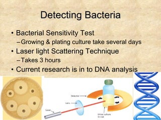 Detecting Bacteria Bacterial Sensitivity Test Growing & plating culture take several days Laser light Scattering Technique Takes 3 hours Current research is in to DNA analysis 