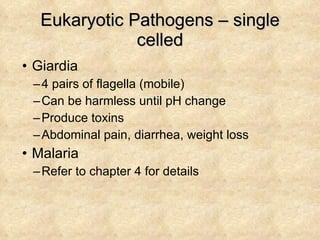 Eukaryotic Pathogens – single celled Giardia 4 pairs of flagella (mobile) Can be harmless until pH change Produce toxins Abdominal pain, diarrhea, weight loss Malaria Refer to chapter 4 for details 