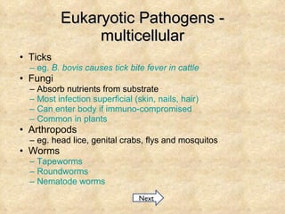 Eukaryotic Pathogens - multicellular Ticks eg.  B. bovis  causes tick bite fever in cattle Fungi Absorb nutrients from substrate Most infection superficial (skin, nails, hair) Can enter body if immuno-compromised Common in plants Arthropods eg. head lice, genital crabs, flys and mosquitos Worms Tapeworms Roundworms Nematode worms Next 