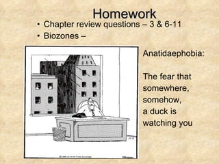 Homework Chapter review questions – 3 & 6-11 Biozones –  Anatidaephobia:  The fear that somewhere, somehow,  a duck is watching you 