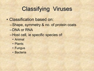 Classifying  Viruses Classification based on: Shape, symmetry & no. of protein coats DNA or RNA Host cell, ie specific species of: Animal Plants Fungus Bacteria 