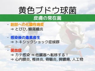 薬局薬剤師が学ぶ抗菌薬と感染症の基本