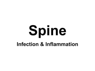 Spine
Infection & Inflammation
 