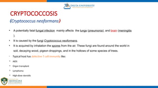 infection in immunocompromised F and medicine | PPTX