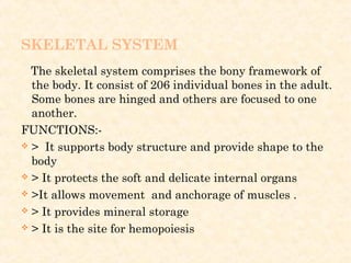 SKELETAL SYSTEM
The skeletal system comprises the bony framework of
the body. It consist of 206 individual bones in the adult.
Some bones are hinged and others are focused to one
another.
FUNCTIONS:-
 > It supports body structure and provide shape to the
body
 > It protects the soft and delicate internal organs
 >It allows movement and anchorage of muscles .
 > It provides mineral storage
 > It is the site for hemopoiesis
 