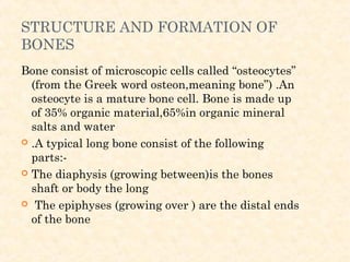 STRUCTURE AND FORMATION OF
BONES
Bone consist of microscopic cells called “osteocytes”
(from the Greek word osteon,meaning bone”) .An
osteocyte is a mature bone cell. Bone is made up
of 35% organic material,65%in organic mineral
salts and water
 .A typical long bone consist of the following
parts:-
 The diaphysis (growing between)is the bones
shaft or body the long
 The epiphyses (growing over ) are the distal ends
of the bone
 