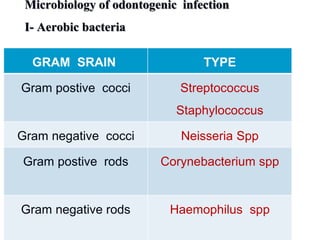 Microbiology of odontogenic infection
I- Aerobic bacteria
GRAM SRAIN TYPE
Gram postive cocci Streptococcus
Staphylococcus
Gram negative cocci Neisseria Spp
Gram postive rods Corynebacterium spp
Gram negative rods Haemophilus spp
 