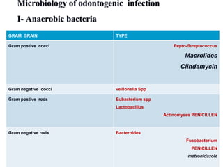 Microbiology of odontogenic infection
I- Anaerobic bacteria
GRAM SRAIN TYPE
Gram postive cocci Pepto-Streptococcus
Macrolides
Clindamycin
Gram negative cocci veillonella Spp
Gram postive rods Eubacterium spp
Lactobacillus
Actinomyses PENICILLEN
Gram negative rods Bacteroides
Fusobacterium
PENICILLEN
metronidazole
 