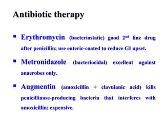 Antibiotic therapy
 Erythromycin (bacteriostatic) good 2nd line drug
after penicillin; use enteric-coated to reduce GI upset.
 Metronidazole (bacteriocidal) excellent against
anaerobes only.
 Augmentin (amoxicillin + clavulanic acid) kills
penicillinase-producing bacteria that interferes with
amoxicillin; expensive.
 