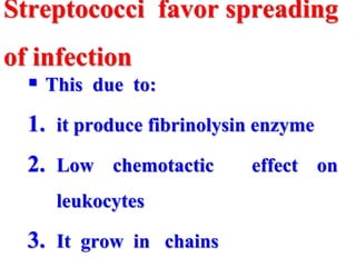 Streptococci favor spreading
of infection
 This due to:
1. it produce fibrinolysin enzyme
2. Low chemotactic effect on
leukocytes
3. It grow in chains
 
