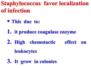 Staphylococcus favor localization
of infection
 This due to:
1. it produce coagulase enzyme
2. High chemotactic effect on
leukocytes
3. It grow in colonies
 