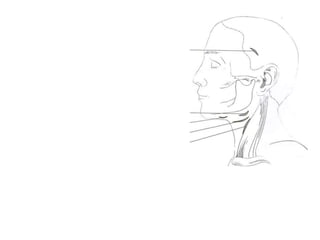 Incision for temporal &
submassetric space
Submandibular, submasseteric,
pterygomandibular
Submental,
Sublingual
Incision for retropharyngeal,
lateral pharyngeal spaces
Incision for retropharyngeal,
lateral pharyngeal
 