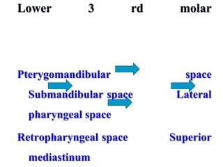 Lower 3 rd molar
Pterygomandibular space
Submandibular space Lateral
pharyngeal space
Retropharyngeal space Superior
mediastinum
 