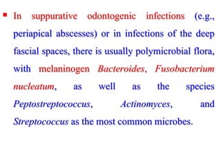  In suppurative odontogenic infections (e.g.,
periapical abscesses) or in infections of the deep
fascial spaces, there is usually polymicrobial flora,
with melaninogen Bacteroides, Fusobacterium
nucleatum, as well as the species
Peptostreptococcus, Actinomyces, and
Streptococcus as the most common microbes.
 