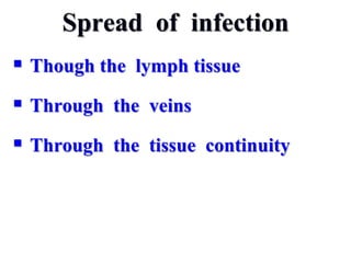 Spread of infection
 Though the lymph tissue
 Through the veins
 Through the tissue continuity
 