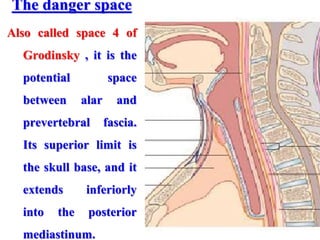 The danger space
Also called space 4 of
Grodinsky , it is the
potential space
between alar and
prevertebral fascia.
Its superior limit is
the skull base, and it
extends inferiorly
into the posterior
mediastinum.
 