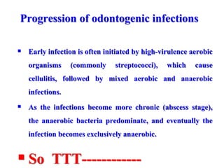 Progression of odontogenic infections
 Early infection is often initiated by high-virulence aerobic
organisms (commonly streptococci), which cause
cellulitis, followed by mixed aerobic and anaerobic
infections.
 As the infections become more chronic (abscess stage),
the anaerobic bacteria predominate, and eventually the
infection becomes exclusively anaerobic.
 So TTT------------
 