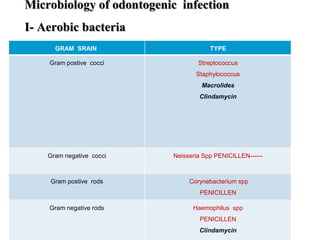 Microbiology of odontogenic infection
I- Aerobic bacteria
GRAM SRAIN TYPE
Gram postive cocci Streptococcus
Staphylococcus
Macrolides
Clindamycin
Gram negative cocci Neisseria Spp PENICILLEN------
Gram postive rods Corynebacterium spp
PENICILLEN
Gram negative rods Haemophilus spp
PENICILLEN
Clindamycin
 