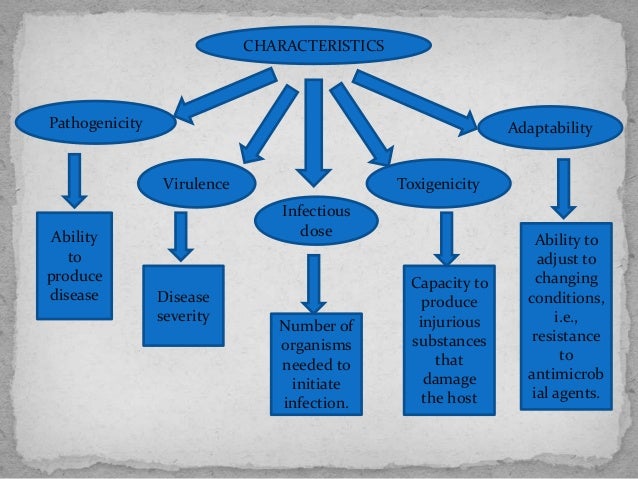 Infection ppt