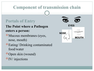 Comprehensive Guide to Infection Prevention and Control in Nursing | PPTX