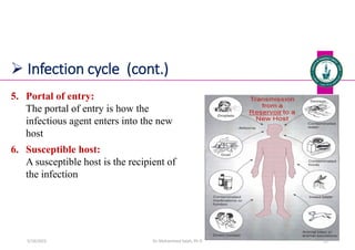  Infection cycle (cont.)
5. Portal of entry:
The portal of entry is how the
infectious agent enters into the new
host
6. Susceptible host:
A susceptible host is the recipient of
the infection
Dr. Mohammed Salah, Ph D 22
5/19/2023
 