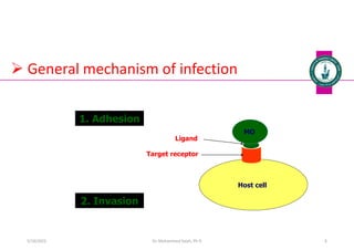 Host cell
MO
1. Adhesion
Target receptor
Ligand
2. Invasion
 General mechanism of infection
Dr. Mohammed Salah, Ph D 6
5/19/2023
 