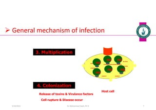 3. Multiplication
Host cell
MO MO
MO
MO
MO MO
4. Colonization
…………..
…………..
……
……..
……
……
..
Release of toxins & Virulance factors
Cell rupture & Disease occur
 General mechanism of infection
Dr. Mohammed Salah, Ph D 7
5/19/2023
 