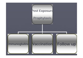 Post Exposure
Prophylaxis

Immunogluline

Vaccination

Follow up
٧٨

 