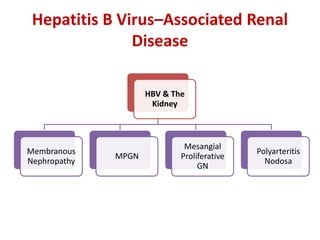 Infection Related Glomerulopathy - Introduction – Rapid Overview - Dr ...