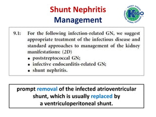 Hepatitis B Virus–Associated Renal 
Disease 
HBV & The 
Kidney 
Membranous 
Nephropathy 
MPGN 
Mesangial 
Proliferative 
G...