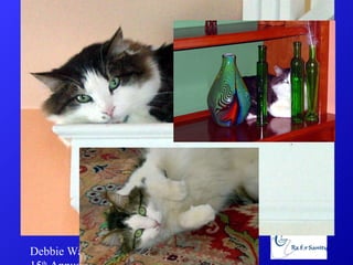 Debbie Waiz 15 th  Annual Endoscopy Symposium www.RxForSanity.com 