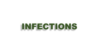 INFECTIONS
By FOTSO BENNIS Mounir
Medical student at Belarusian State Medical University
Faculty of General Medicine
 