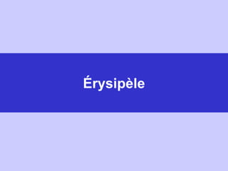 Érysipèle : généralités
= dermohypodermite bactérienne aiguë non nécrosante
• Streptocoque pyogenes ß (= strepto A)
• Terr...