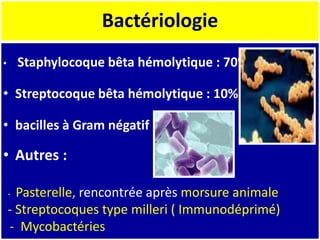 Bactériologie
• Staphylocoque bêta hémolytique : 70%
• Streptocoque bêta hémolytique : 10%
• bacilles à Gram négatif
• Autres :
- Pasterelle, rencontrée après morsure animale
- Streptocoques type milleri ( Immunodéprimé)
- Mycobactéries
 